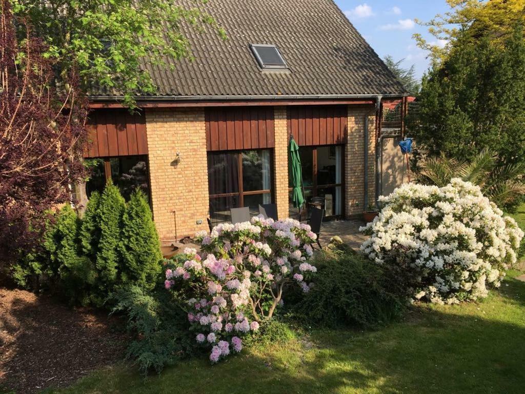 Ferienhaus Busch لبسيا المظهر الخارجي الصورة